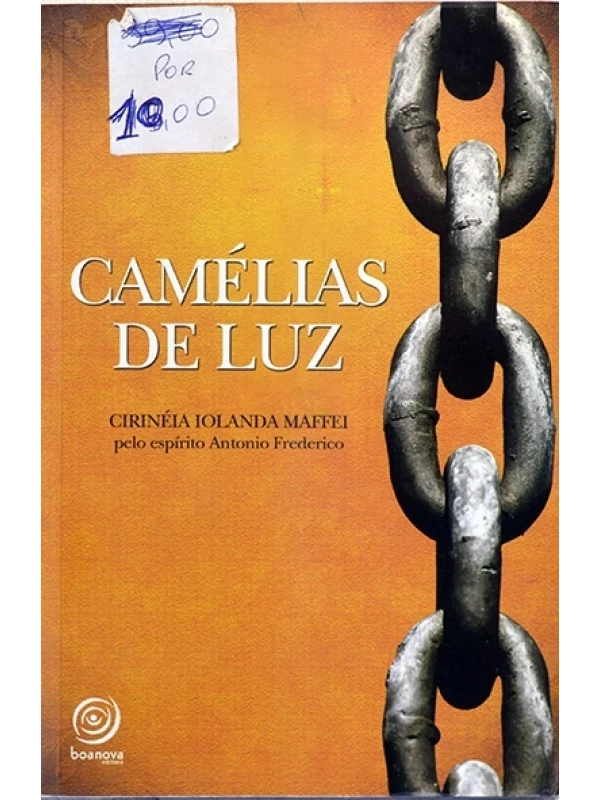 Camélias de luz - Cirinéia Maffei
