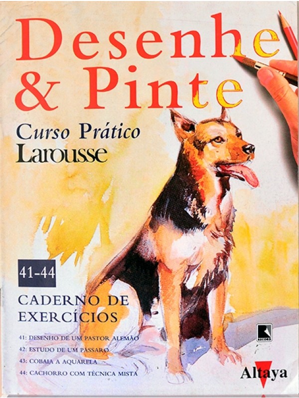 Desenhe e pinte - Curso prático Larousse - Caderno de exercícios 41-44