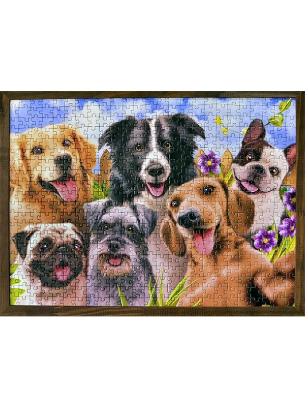 Selfie dogs