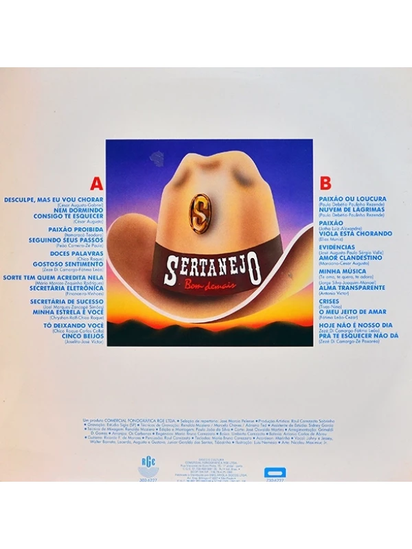 LP Sertanejo bom demais 4