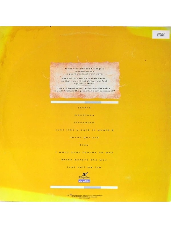 LP The Lion and the Cobra - Sinéad O'Connor