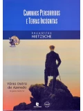 Caminhos percorridos e terras incógnitas -  Encontros Nietzsche - Vânia Dutra de Azeredo
