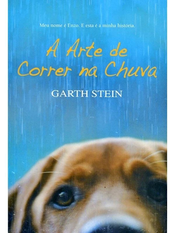 A Arte de correr na chuva - Garth Stein
