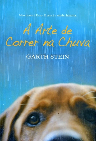 A Arte de correr na chuva - Garth Stein