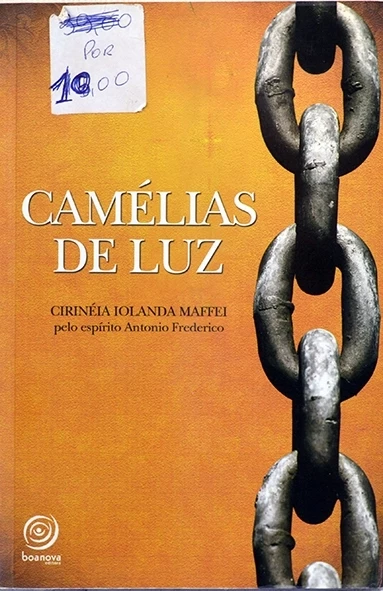 Camélias de luz - Cirinéia Maffei