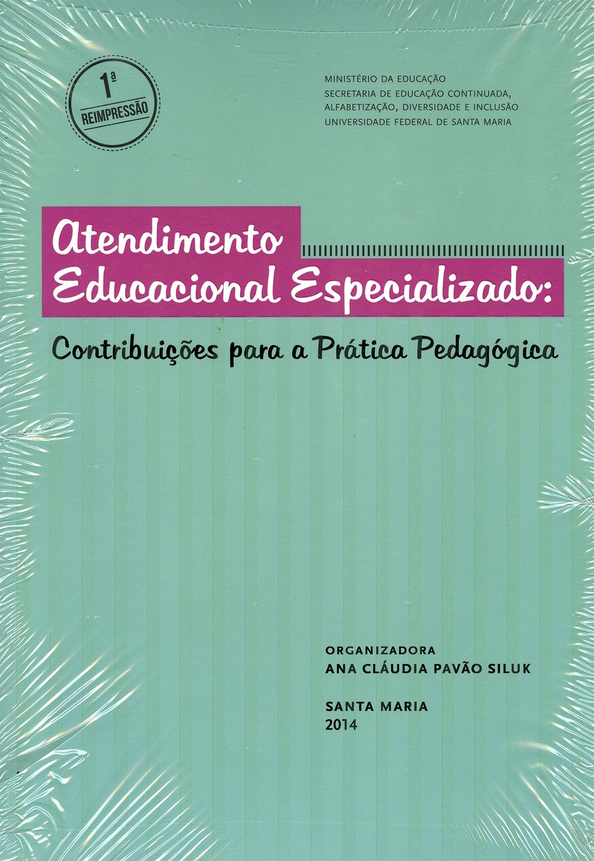 Atendimento educacional especializado - Contribuições para a prática pedagógica