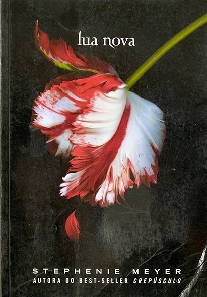 'Lua nova - Stephenie Meyer