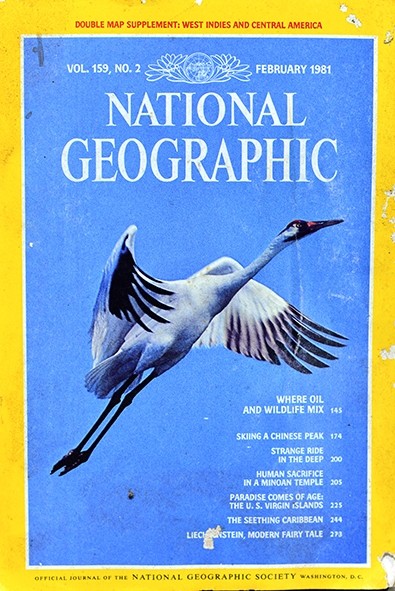 National Geographic  February 1981 - Autores vários