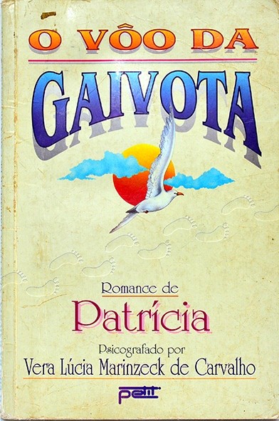 O Vôo da gaivota - Vera Lúcia Marinzeck de Carvalho